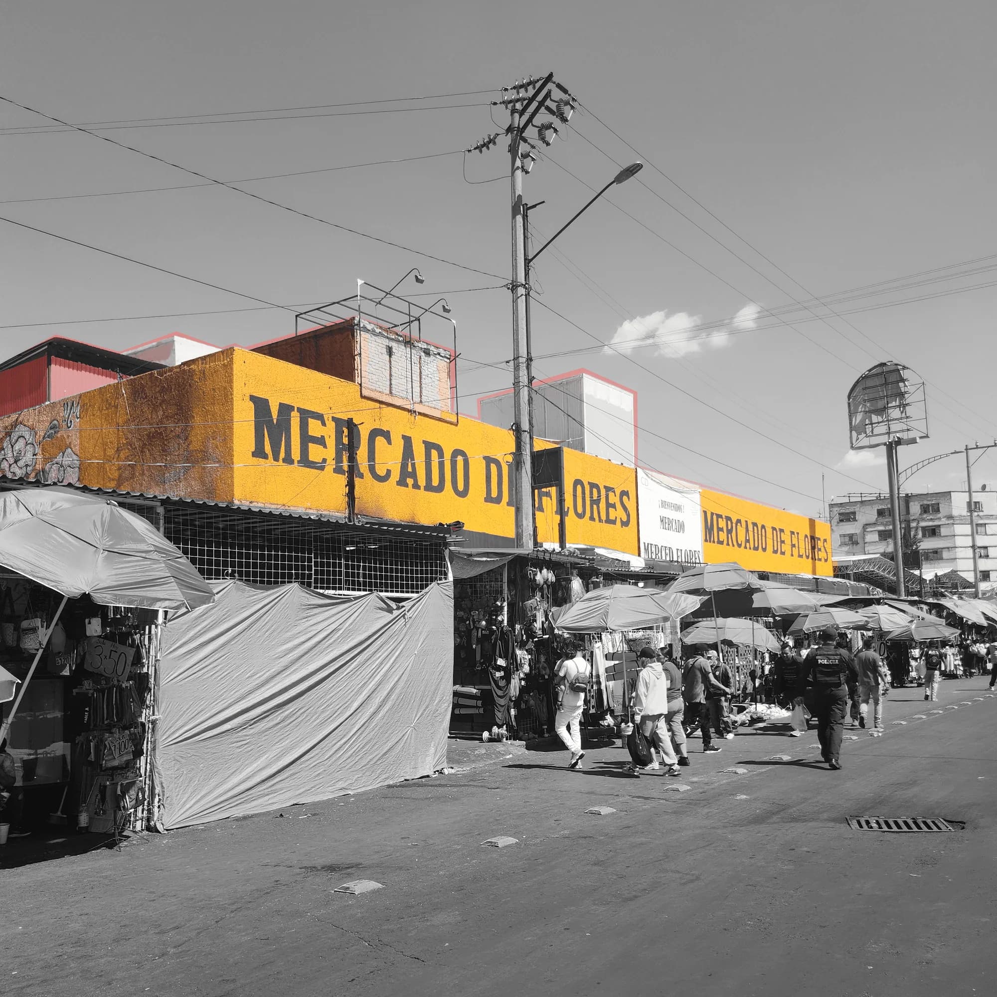 Mercado de las Flores de La Merced resaltado frente al paisaje urbano de Circunvalación.